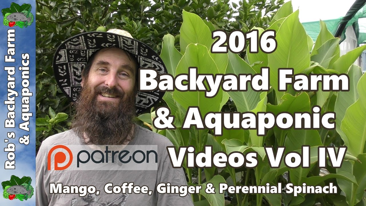 Backyard Farm & Aquaponic Patreon Videos VOL IV - Mango, Coffee, Ginger & Perennial Spinach