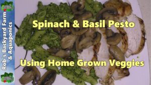 Spinach & Basil Pesto Using Home Grown Veggies  (Yes, it's garlic free 😉😃 )
