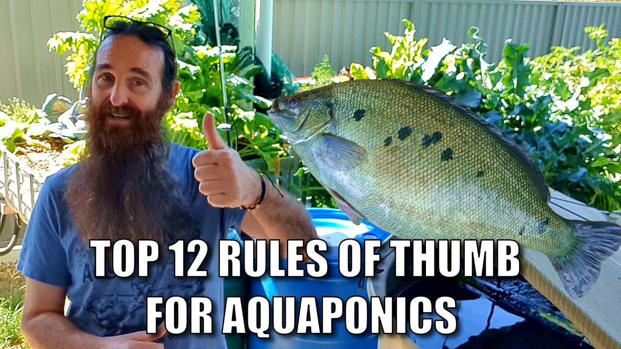 12 Rules of Thumb For Aquaponics