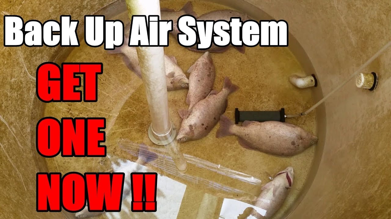 12V BackUp Air System For Aquaponic Systems