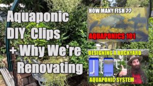 Aquaponic How To Clips - Aquaponic Update + Why We're Renovating