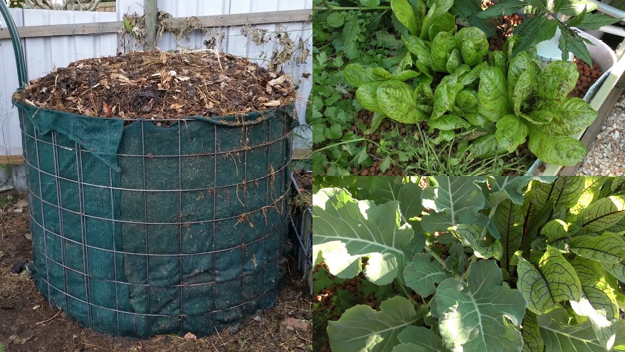 Aquaponic update. Welcoming Spring 2015 with a compost heater catch up.