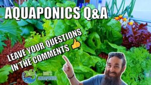 Aquaponics Q&A Live Stream | September 2022