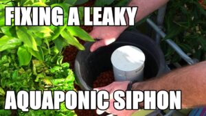Aquaponics | Repairing a Leaky Bell Siphon in an Aquaponic System