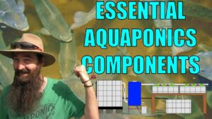 Aquaponics System Design - 9 Essential components