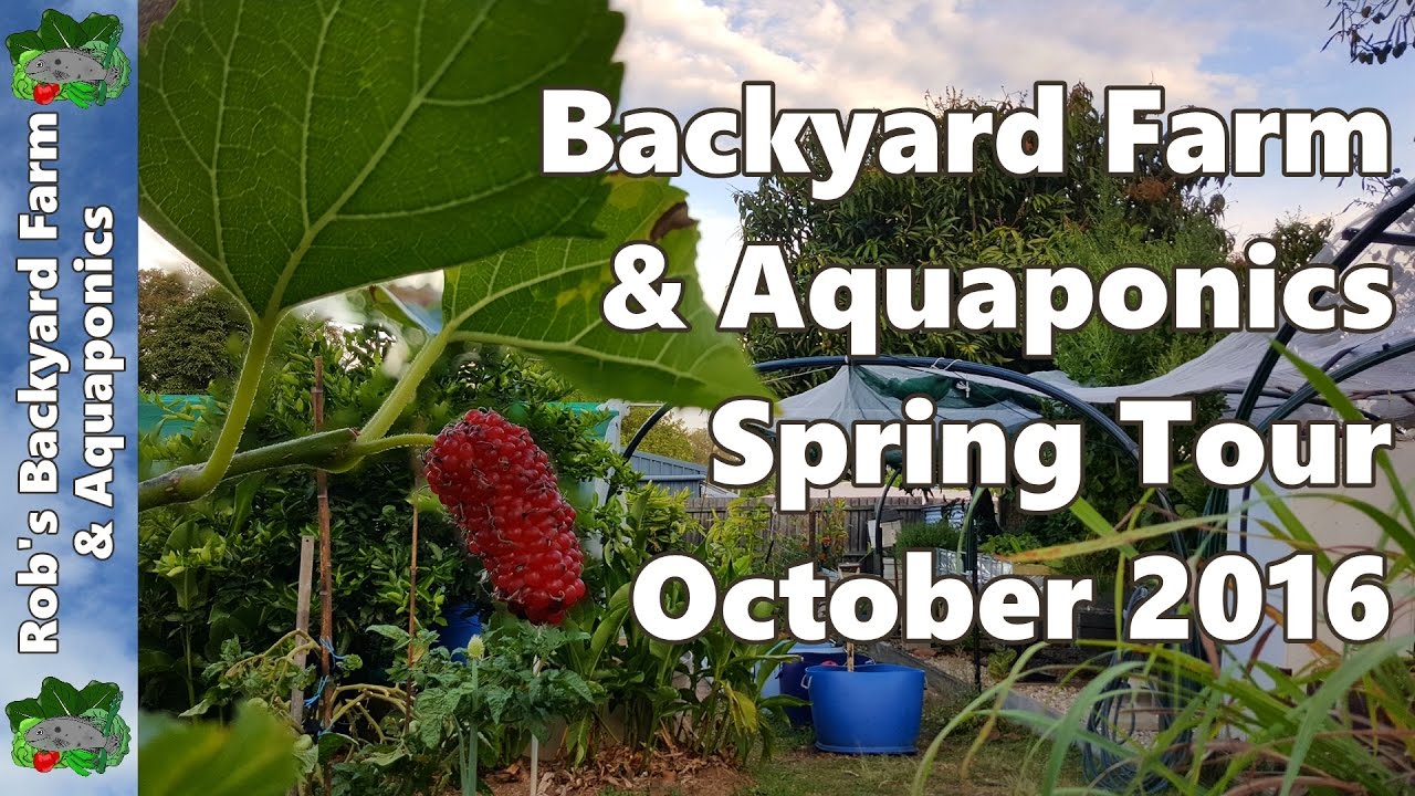 Backyard Farm & Aquaponics Spring Tour Oct 2016 - Solarizing Pest & a Few Changes