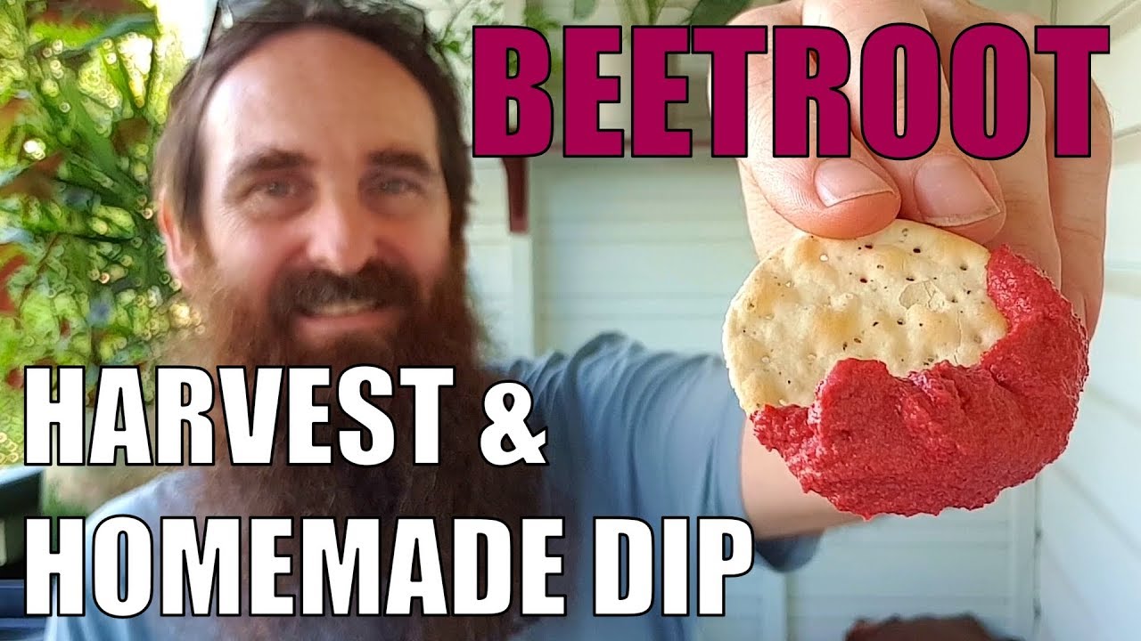 Beetroot Harvest & Tasty Home Grown Dip + Seasons Greetings