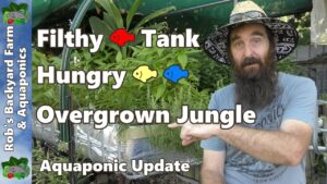 FILTHY FISH TANK, Hungry Fish & Overgrown Jungle - Aquaponic Update