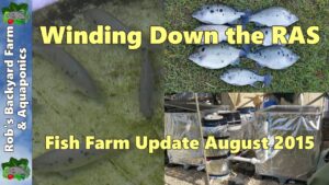 Fish farm update. Winding down the system. August 2015