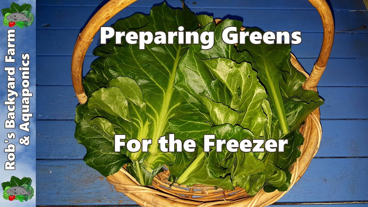 Freezing Greens & a Closer look at the Perpetual Spinach