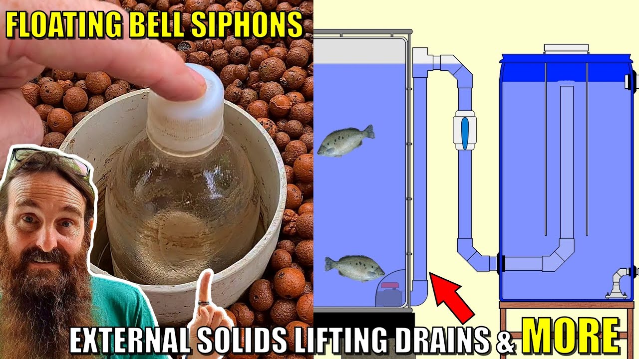 Floating Bell Siphons & Other Aquaponics Questions Answered 🐟🥬🍅