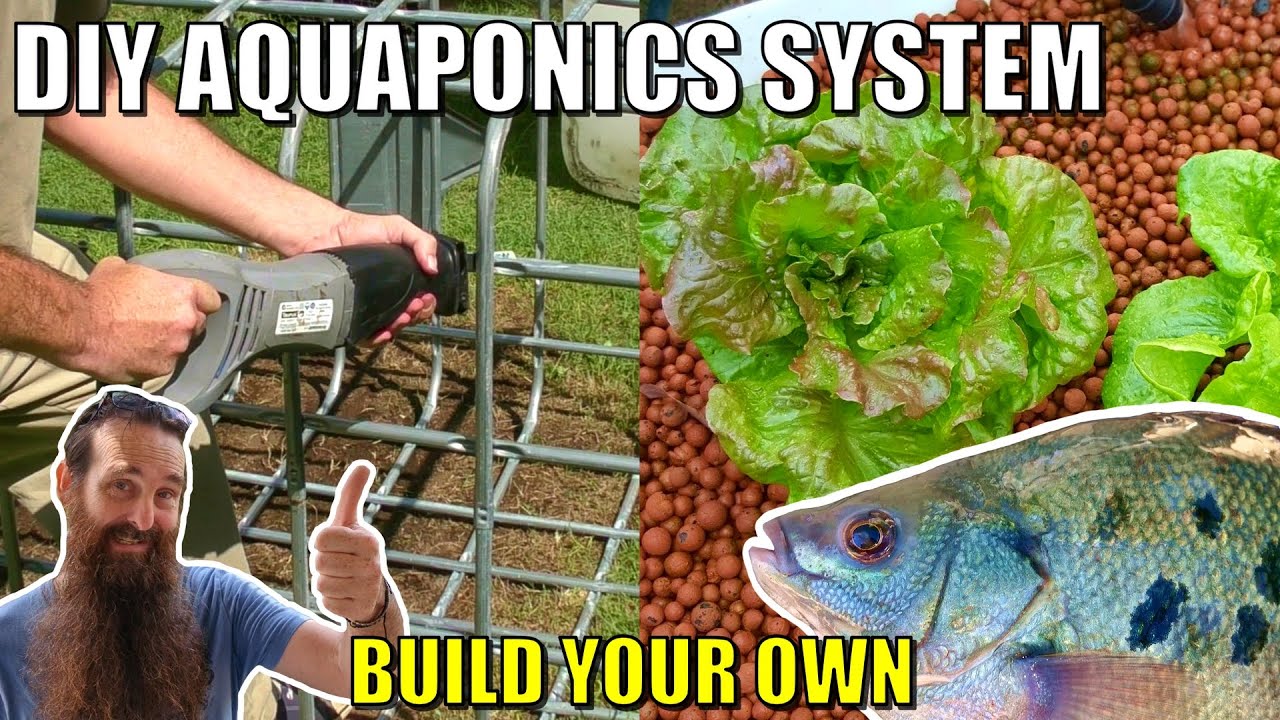 How to Build a Chop & Flip IBC Aquaponics System