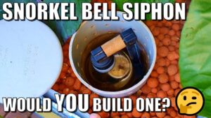 How to Build a Snorkel Bell Siphon for Aquaponics