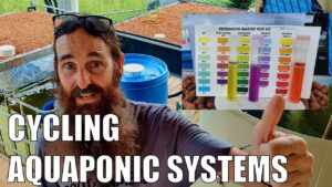 How to Cycle An Aquaponics System