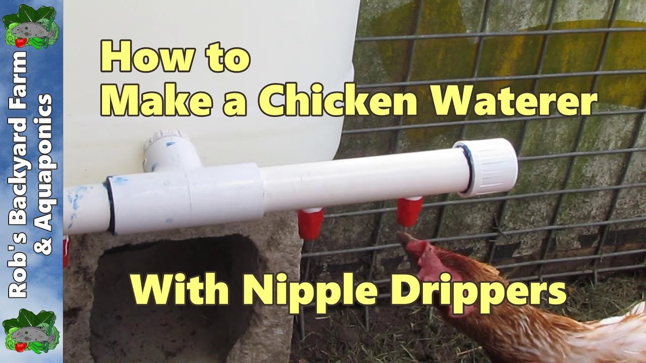 How to Make an Automatic Chicken Waterer with Nipple Drippers