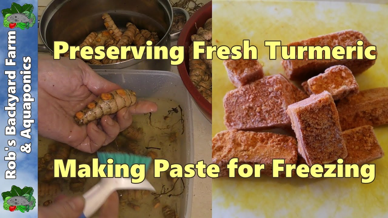 How to Preserve Fresh Turmeric.  Turmeric Paste for the Freezer.