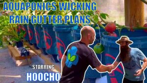 Aquaponics Wicking Rain Gutter Plans with @Hoocho  🐟🌱🍓