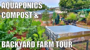 Mid Winter Backyard Farm Tour - Aquaponics, Compost & Regenerative Mulch