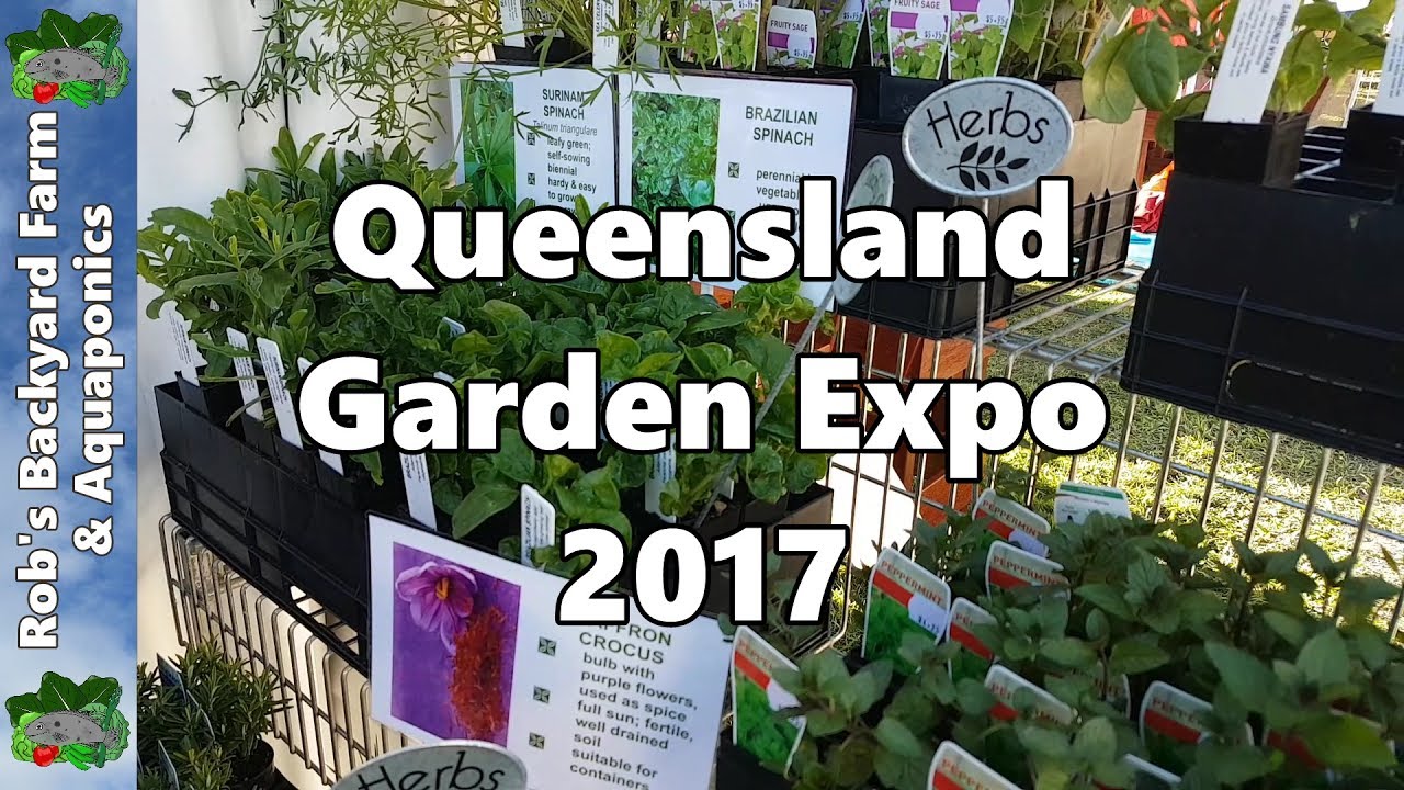 Our QLD Garden Expo Trip 2017- Vegepod, Native Bees, Queensland Nut Buster, Gourds & MORE