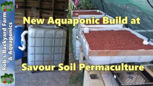 New Aquaponic system build at Savour Soil Permaculture.