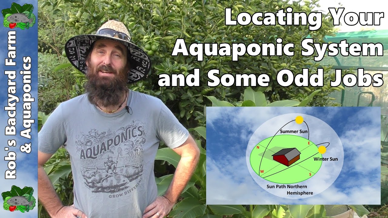 Positioning Your Aquaponic System 🐟 Solar Orientation and Odd Jobs