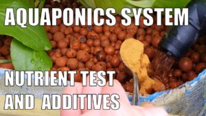 Nutrient Supplements for Aquaponics Systems | Test Results