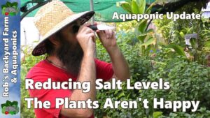 Reducing Salt Levels - The Plants Aren't Happy #Aquaponic Update