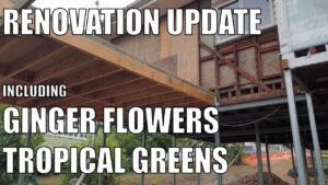Renovation Update, Aquaponic Subtropical Greens & Ginger Flower