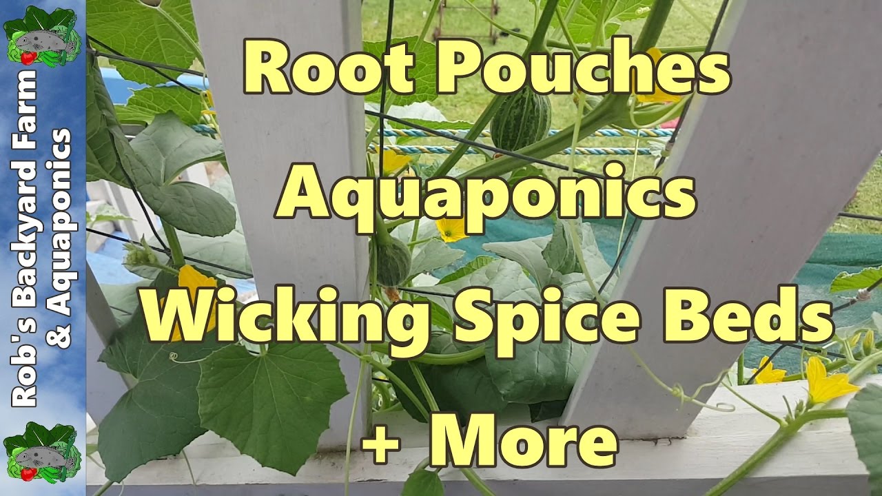 Root Pouches Aquaponics Wicking Spice Beds + More
