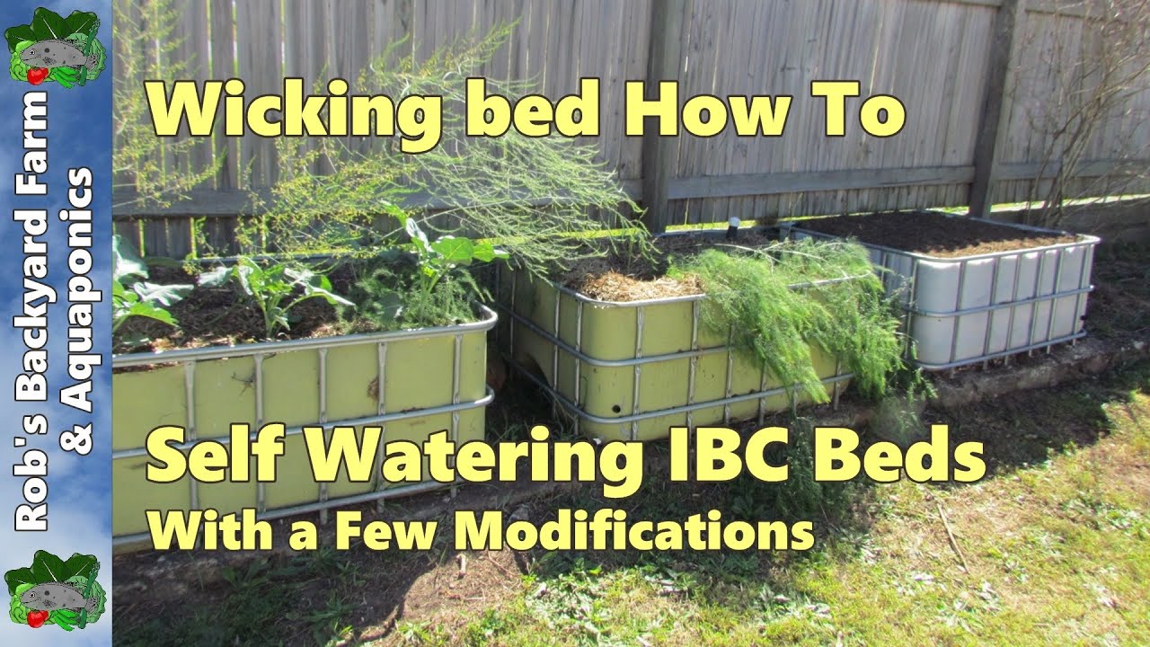 Self watering Wicking bed, IBC beds with a few modifications..
