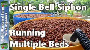 Single Bell Siphon Running Multiple Beds in the Aquaponic System