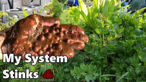 Solids in Aquaponic Grow Beds | Rising pH | Denitrification | Cleaning MUCK