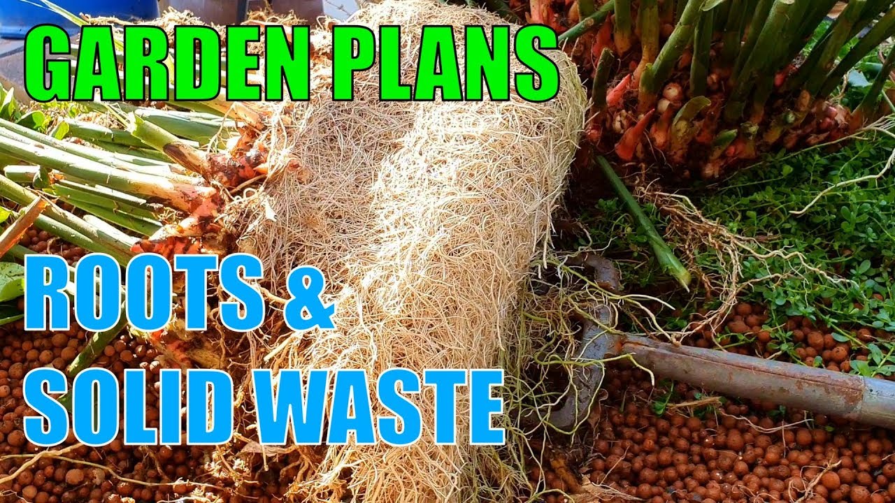 Solids In Aquaponics Grow Beds, Garden Design, & Slugs | An Outtakes Clip
