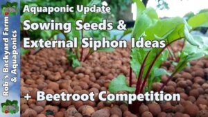 Sowing Seeds, External Bell Ideas & Beetroot Competition - Aquaponic Update