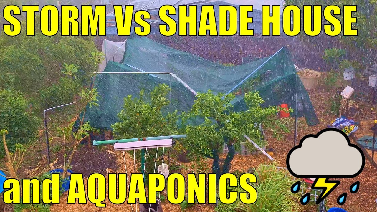 Storm Vs Shade House & Aquaponics