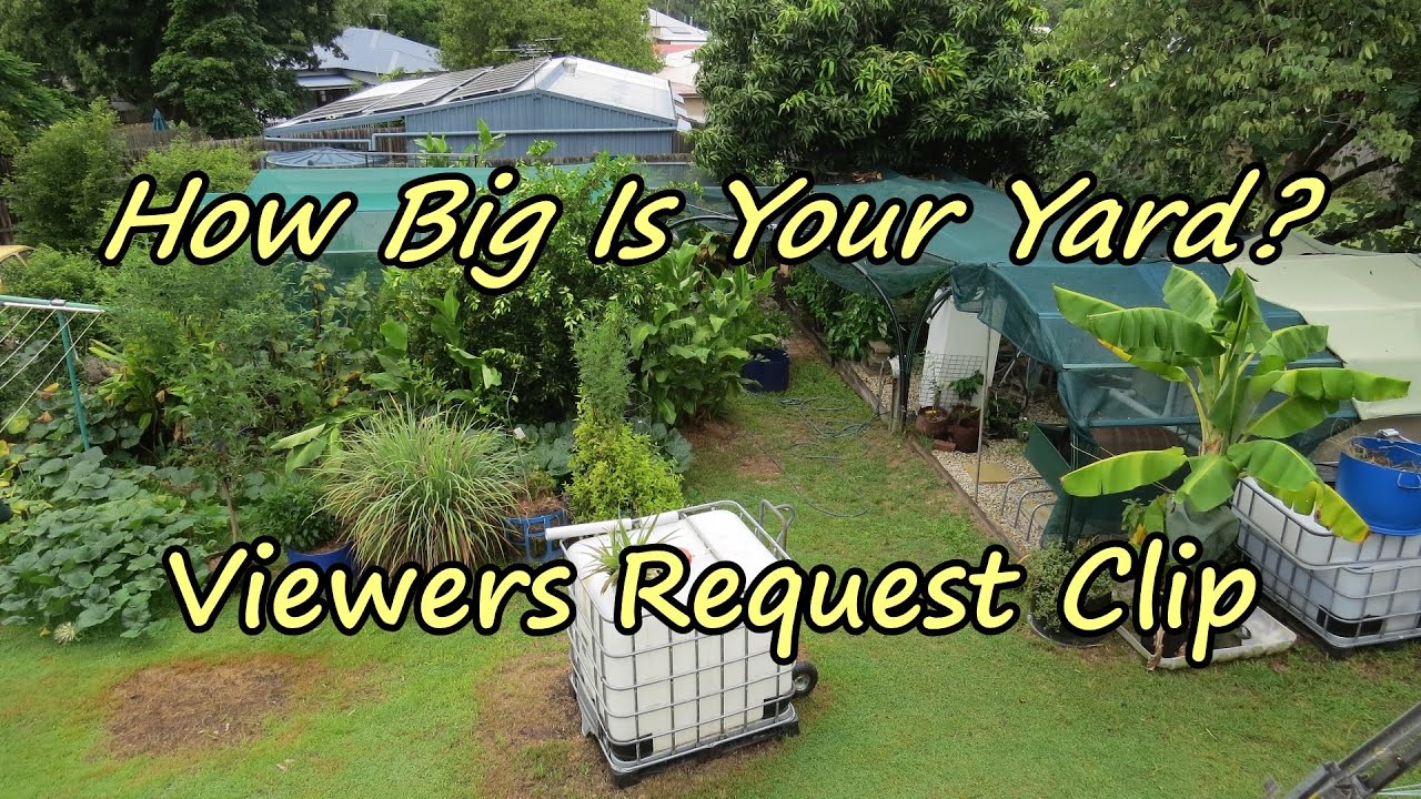 "How big is your yard?" Viewer Request Backyard Farm Walk Through. Permaculture Design included 😉