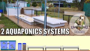 Two Aquaponics Systems for the Naughty Goat Farm