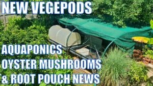 Vegepods, Aquaponics, Mushrooms & Bye Bye Root Pouches