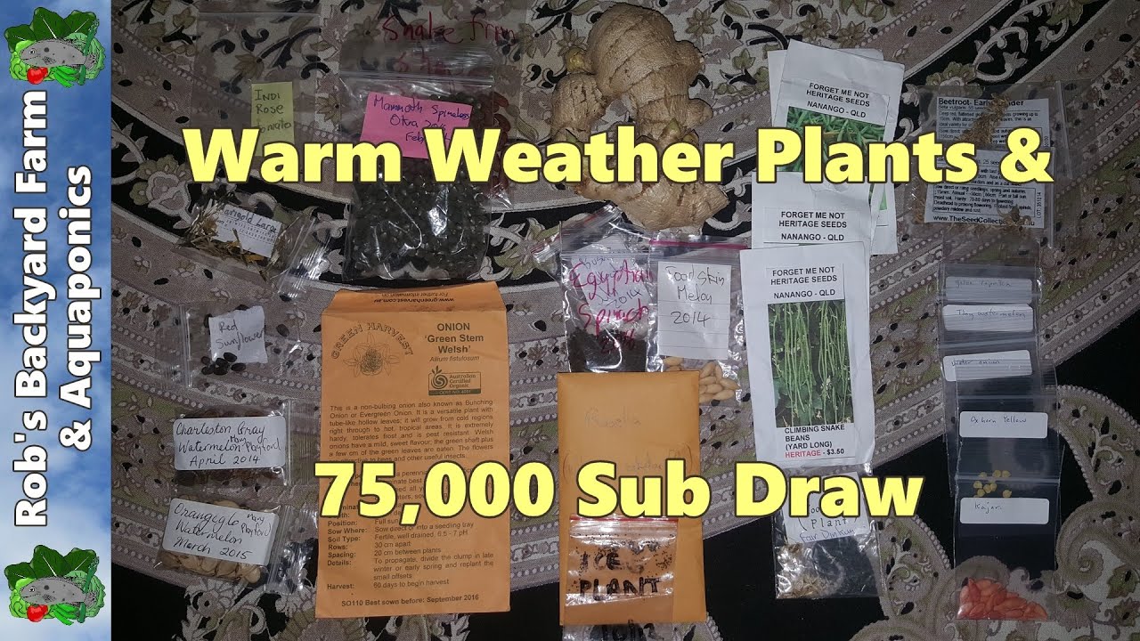 Warm Weather Plants & Give Away Draw Winners