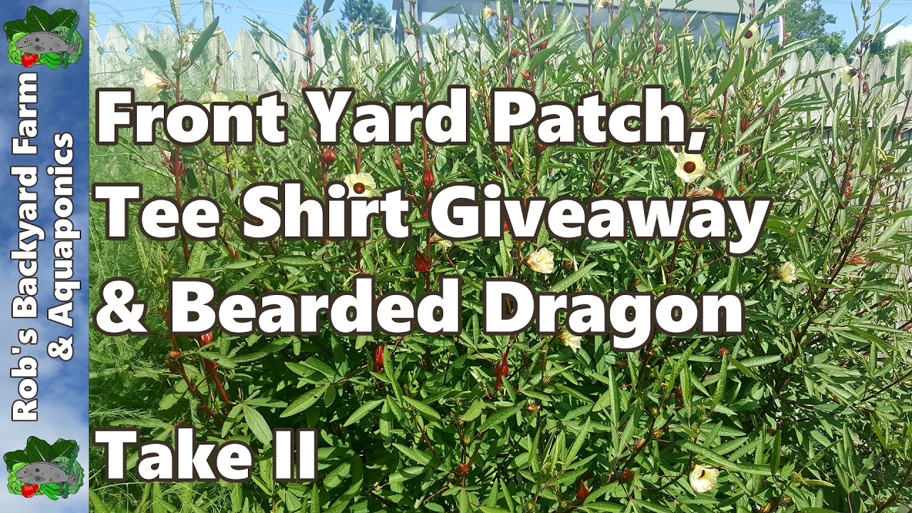 AWESOME FREE Tee Shirt GIVEAWAY. Front Yard Patch, & Bearded Dragon - Take II