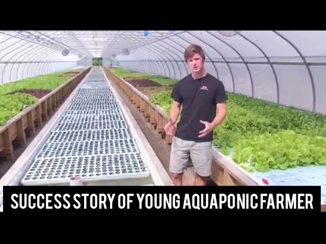 How to be successful in Aquaponics farming.