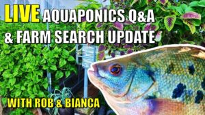 Aquaponics Live Stream Q&A With Rob & Bianca + Farm Search Update