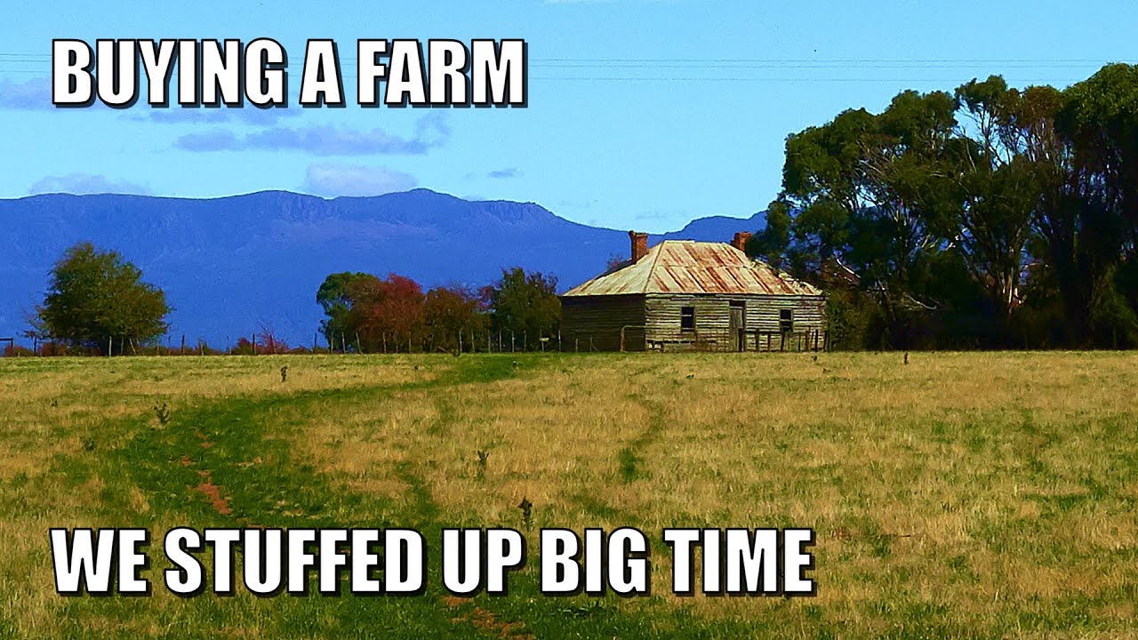 Buying a Farm | Our BIG Mistake & the Best Locations for Us