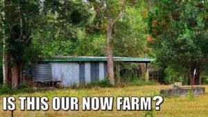 Buying a Farm | Is This Our New Farm?