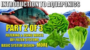 Introduction to Aquaponics: Part 2 | Solids, DIY Filters, Multi Grow Bed Designs +MORE 🐟🍅🥬