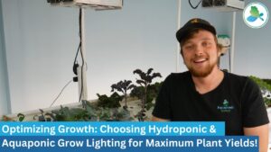 Optimizing Hydroponic & Aquaponic Grow Lighting for Maximum Plant Yields