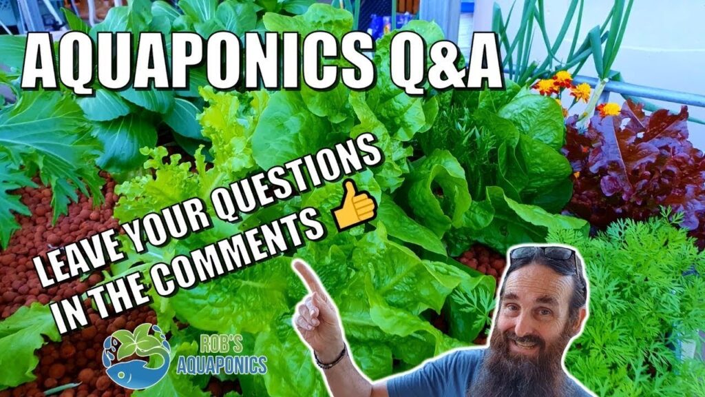 What do You Want to Know About Aquaponics? 🤔🌱🐟