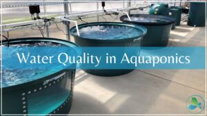 Aquaponic Water Quality Considerations