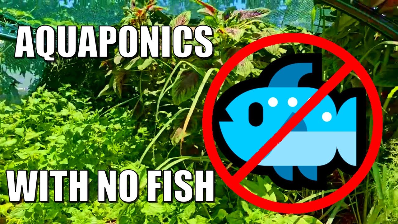 Aquaponics Nutrient Bank - Growing Plants with No Fish