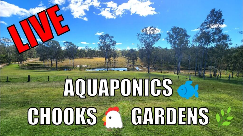 Designing the Homestead & Aquaponic Gardens - Leave Questions Below 🤔